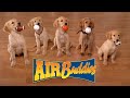 Air buddies ces amigos  brasil version