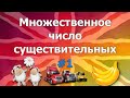 Множественное число существительных в английском языке. English Plural nouns