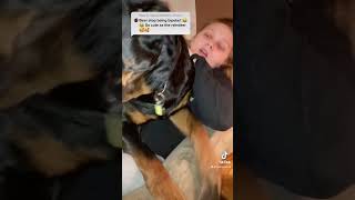 Rottweiler Growling For Love. Nudging For More
