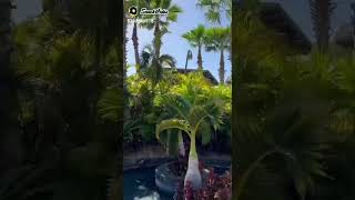 South Africa ?? Natural beauty