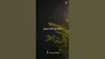 بصراحة نسيت اسم القارئ اخذته من الشورت #fypシ゚viral #اكسبلور #لايك