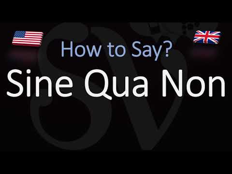 How to Pronounce Sine Qua Non? (CORRECTLY)