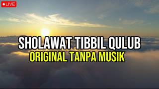  Sholawat Tibbil Qulub Tanpa Musik  Merdu  Obat Hati U0026 Penenang Pikiran