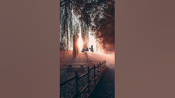 سورة الأعراف القارئ محمد عبادة #تلاوة_خاشعة #راحة_نفسية #تلاوة_جميلة