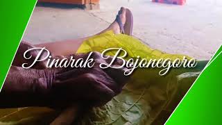 Pinarak Bojonegoro