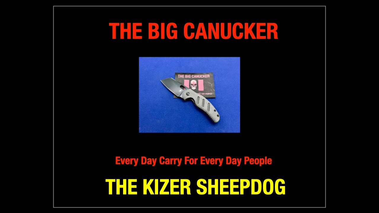 The Kizer Vanguard SheepDog CPM-10V Blade HQ Exclusive.