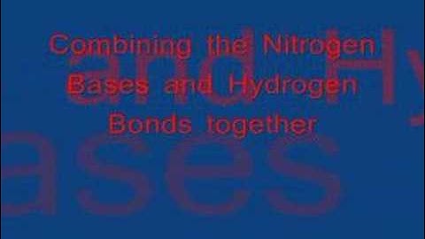 How-to Make a Candy DNA model