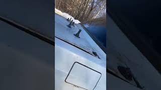 А как тебе такое Илон Маск? 😂
