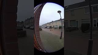 Download Lagu Een lama glijdt uit en ketst tegen lantaarnpaal MP3 Download Lagu Een lama glijdt uit en ketst tegen lantaarnpaal MP3