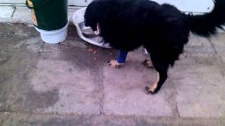 VID 20150313 085221
