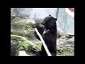 Beginning of video