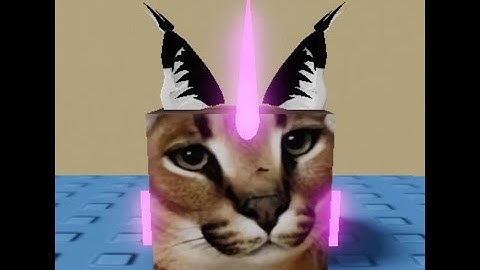 How to Find "Unicorn Floppa" In Find the Floppa Morphs