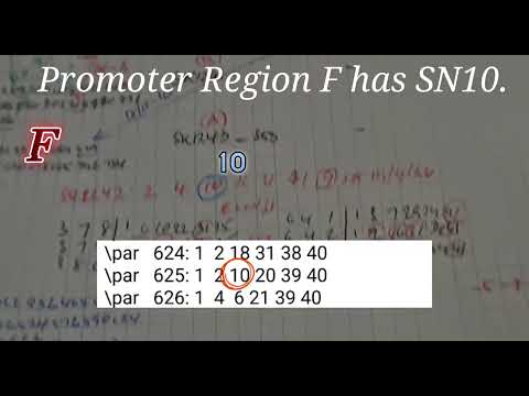 SN or winning number is almost always in Promoter Region F, example SK1242,SK1241#definelottosystem
