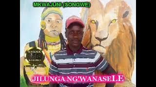 JILUNGA NG'WANA SELE  UJUMBE WA KIKUNDI CHA MKOMBOZI  Prod by Lwenge Studio 2022 Mkwajuni (Songwe)