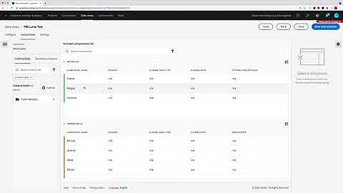 Basic Configuration for CJA Data Views