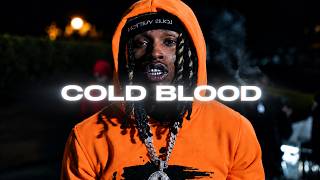 [FREE] King Von x Lil Durk Type Beat – 'Cold Blood'