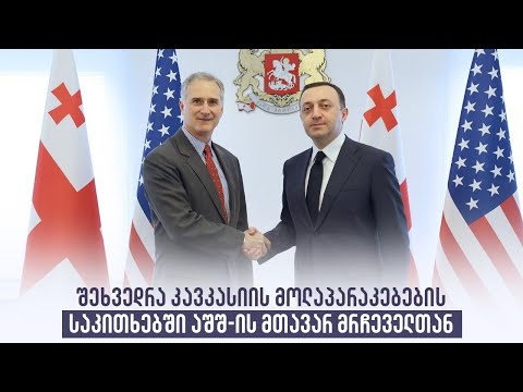 შეხვედრა კავკასიის მოლაპარაკებების საკითხებში აშშ-ის მთავარ მრჩეველთან