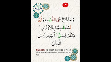 Learn Tajweed of Surah al-maidah Ayat 3 | تعلم التجويد - سورة المائدة | Tajweed Rules + Practice