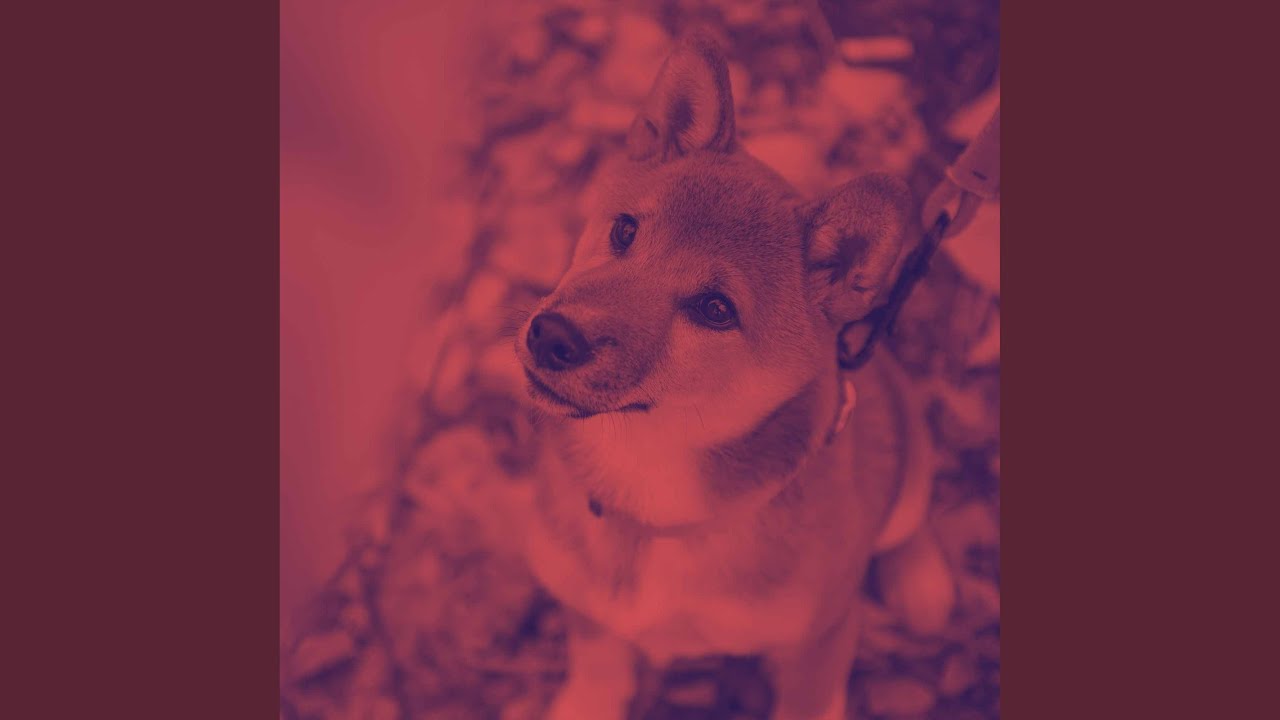 Zsew Background for Cute Pup Mode - YouTube