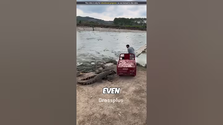 Crocodile farming in china #shorts #science