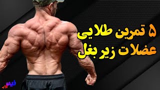 ۵ تمرین طلایی برای عضلات زیر بغل - برنامه تمرینی #زیربغل حرفه ای