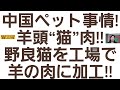 中国ペット事情!羊頭“猫”肉!!野良猫を工場で羊の肉に加工!!