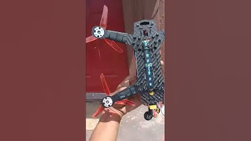 bugs 3 on 250 racer 3s