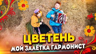картинка: ЦВЕТЕНЬ - ЗАЛЁТКА | TSVETEN - ZALYOTKA (клип)