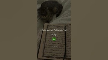 سورة البقرة _ الآية 238 🕋🕋