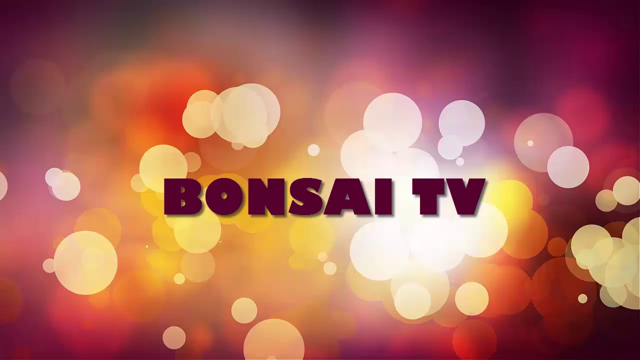 INTRO BONSAI TV