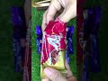 Satisfying Video Asmr Unboxing GIANT Sweets Chocolate and Rainbow Lollipops with Candy Cutting Asmr.