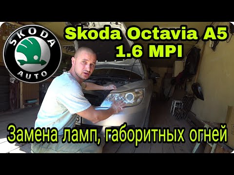 Замена лампочки габорита передних фар Skoda Octavia A5 1.6 MPI BSE