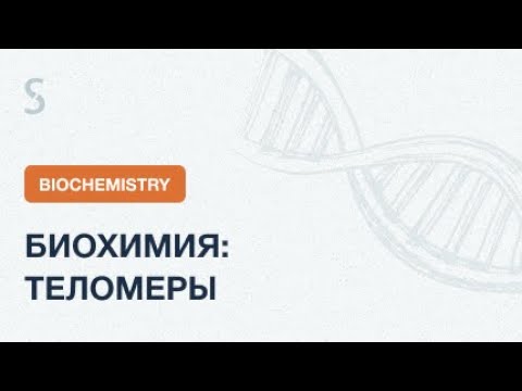USMLE Step 1 - Биохимия: Теломеры