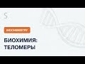 USMLE Step 1 - Биохимия: Теломеры