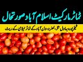 Islamabad Tomato Market Today | Sheikhupura, Bahawalnagar & Tomato Rates Update | 17 May 2026