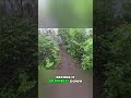 Hike to Castle Ruins: NYC Skyline Reveal Will BLOW Your Mind! #shorts