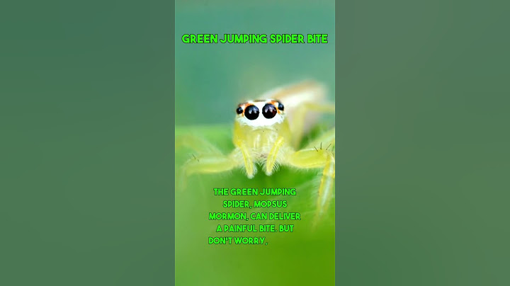 Green Jumping Spider Bite! #spider #spiderbite