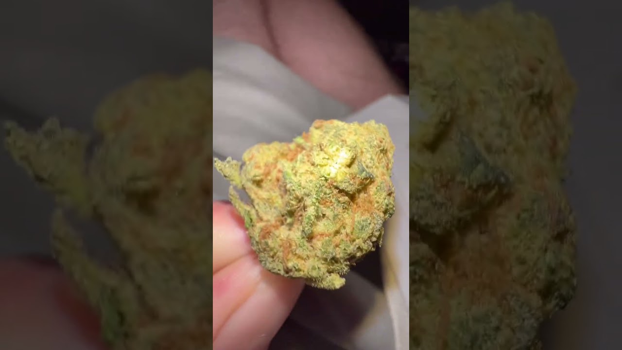 Parcel’s ‘Sundae Driver’