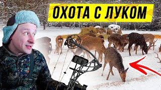 ОХОТА с луком на оленя. Блочный ЛУК Mathews VXR 28. Открытие сезона охоты 2021.