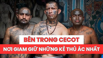 Bên Trong CECOT: Nhà Tù Lớn Nhất và Nghiêm Ngặt Nhất Thế Giới (Nơi giam giữ những kẻ thủ ác nhất)