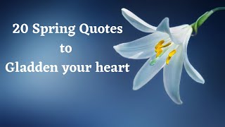 20 Spring Quotes - Top 20 quotes about spring ~ everyday quotes ~ Famous quotes ~ Trendy quotes