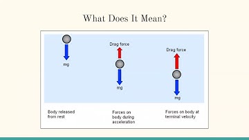 Video Lab Report: Motion of a Falling Object - Georgia Tech PHYS 2211 (Spring 2021)