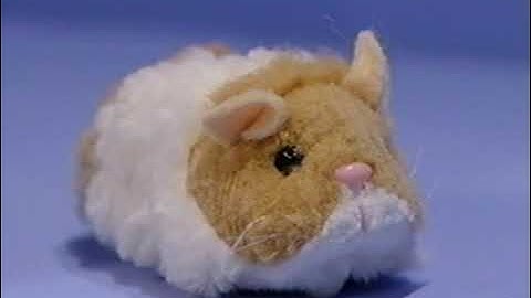 You Can Be Anything Credits Comparison (Screener vs. Final Version) (V2) (2002 Version) Part 28