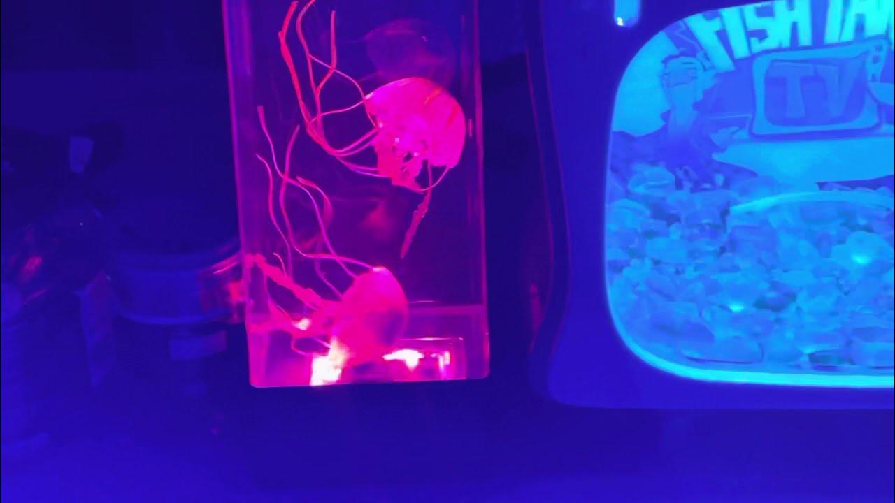 Do you want to keep Jellyfish? YouTube