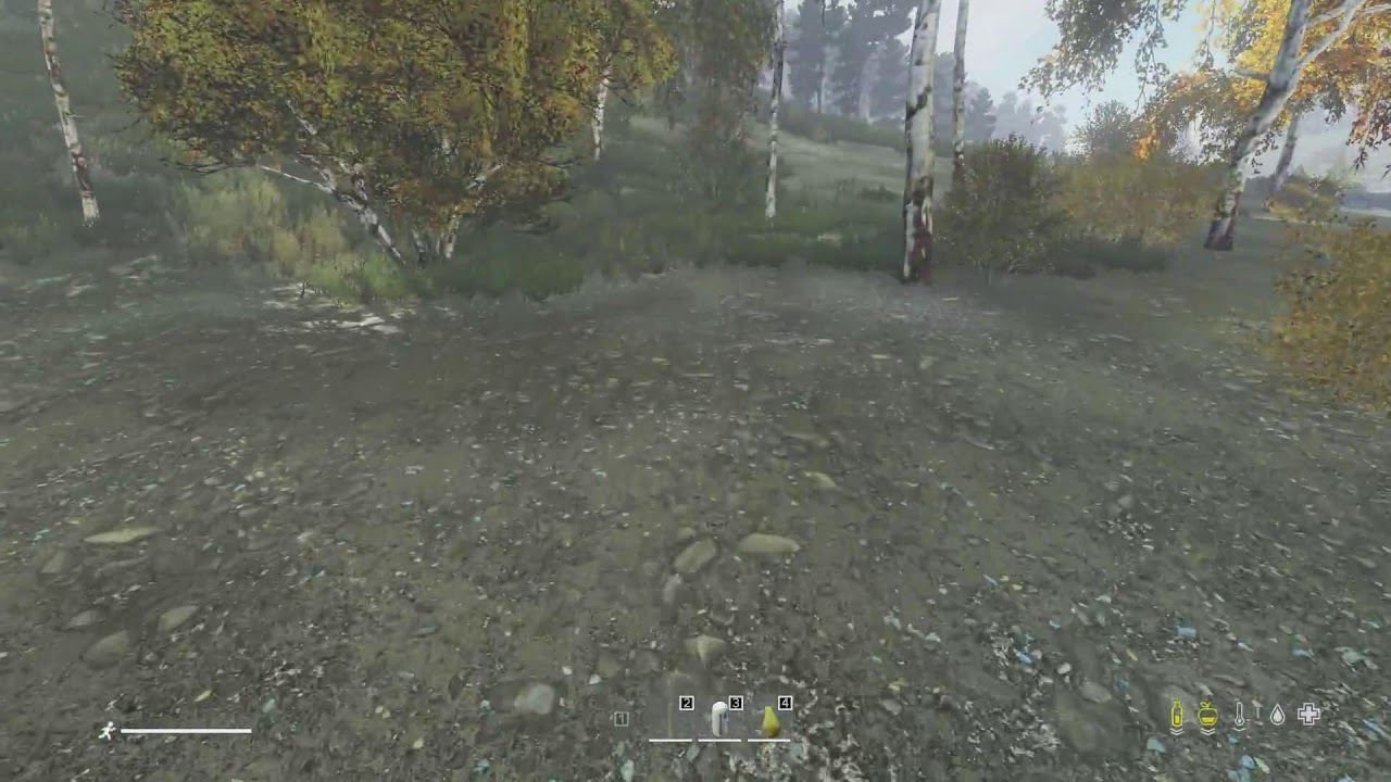 DayZ Xbox:  Fighting Bears at Kamensk Military!