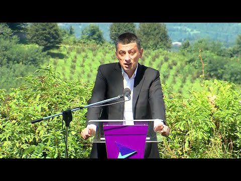 ნარკოტესტი - \"ოცნება\" კალაძის კონკურენტების გაშავების ახალ ეტაპზე გადადის