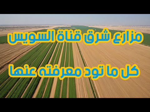 معلومات وتفاصيل مهمة جدا عن مزارع القنطرة شرق بالإسماعيلية المميزات والعيوب