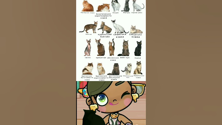 якої у вас породи кіт ?🤍🐾Сорі якщо не дуже видно текст #cat #animation #funny #memes #cute #рек
