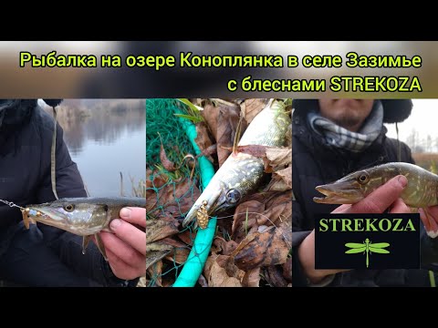 Рыболовные блесны STREKOZA,