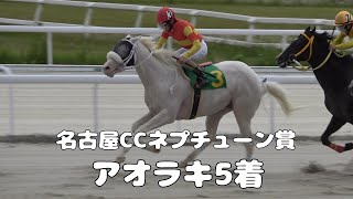 【白毛】2024年5月30日名古屋競馬10Rアオラキ5着